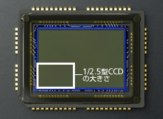 ǧش῵ŵD40X