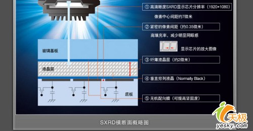 索尼bravia sxrd背投电视图赏