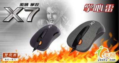 双飞燕——20年专业，值得信赖