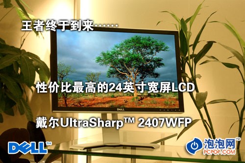 ǿҺ2407WFPȫ