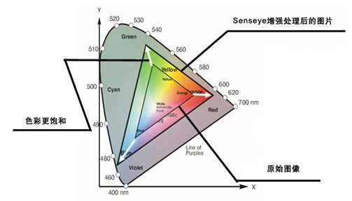 BenQڶSenseye+ԲʿƼ