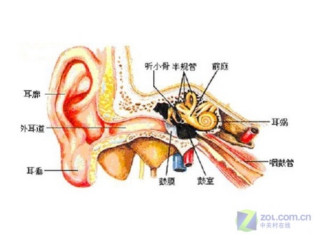 让耳朵听力迅速衰减 谈入耳式耳塞危害