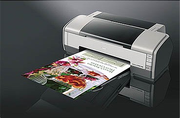EPSONPhoto1390е콵200Ԫ