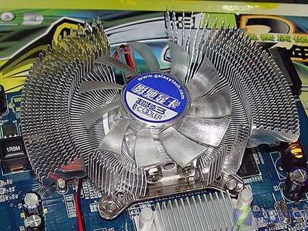 5AGP߿ԿƼ