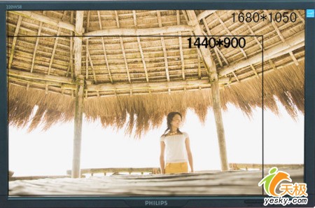 ߹Vista֤Һ220WS8