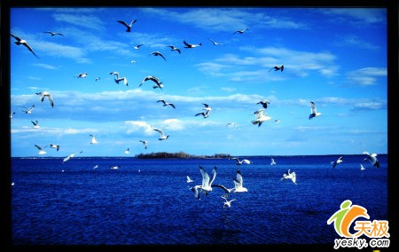 ߹Vista֤Һ220WS8