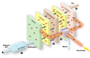 图为:燃料电池原理图
