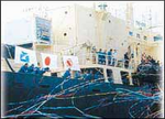 特别策划:日本捕鲸是为了保护生态平衡?
