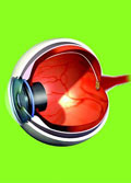 2014年人造视网膜恢复视力