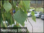 ֮320ֻŶԱ
