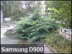 ֮320ֻŶԱ