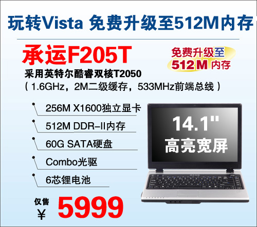 תVista˫X1600512M