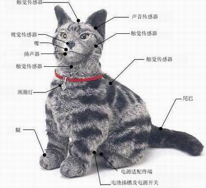 新型机器人貌似小猫 可通过3G网络控制(附图)