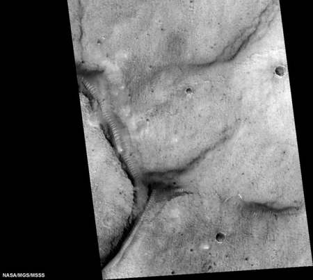 美国宇航局是否隐藏了火星上有生命的证据?