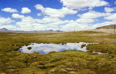 青藏高原上主要冻土现象:热融洼地