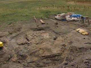 科技时代_加拿大马尼托巴湖发现巨大蛇颈龙化石(组图)