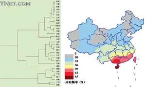 群体遗传和人口分布_中国人姓氏 群体遗传和人口分布 揭开姓氏基因奥秘