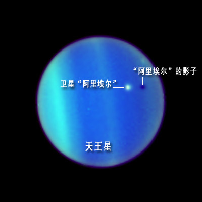 Ƽʱ_ϳֺȫʳ(ͼ)