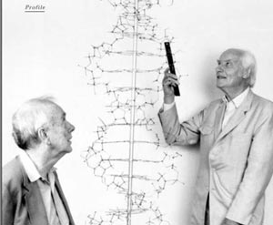 DNA双螺旋结构发现50周年Web资源巡礼(3)(图