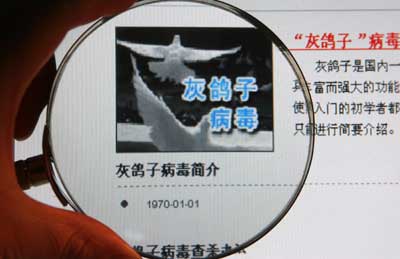 发展过程:灰鸽子最早出现在2001年,采用delphi编写,使用了当时