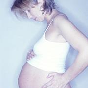 美国新书称怀孕会让女人变得更聪明(图)