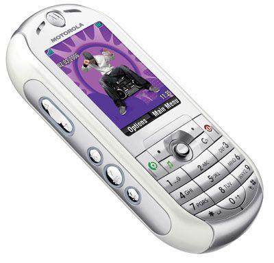 ŮγʱֻƼ(2)