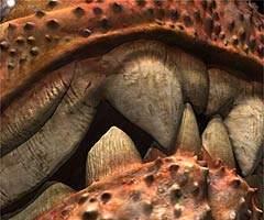 科学家发现史前牙齿威力最猛的海洋鱼类(图)