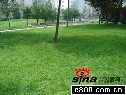 U241DT20040810085223.jpg