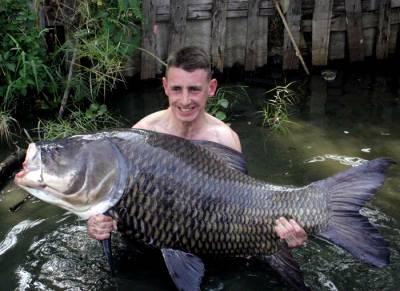 组图：从湄公河到亚马逊搜寻世界最大淡水鱼