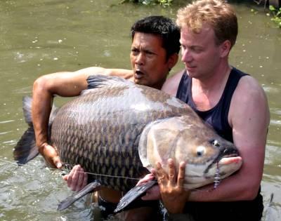 组图：从湄公河到亚马逊搜寻世界最大淡水鱼(2)
