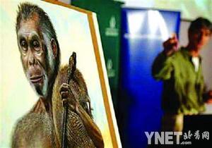 美科学家发现印尼小矮人智力超过人类祖先