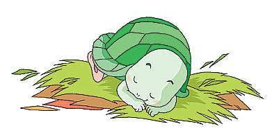 大背壳乌龟:野餐(3)