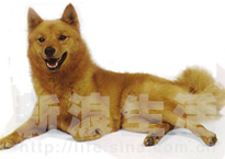 ëȮ