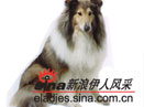 ëȮ