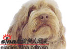 Ȯ