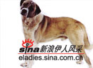 Ȯ