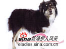 Ȯ