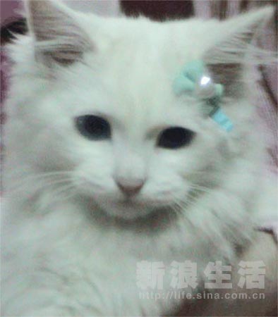 【美女咪咪】