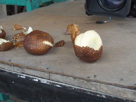 印尼特产的蛇皮水果(图)