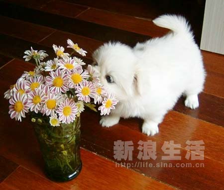 组图:女生座的女生处女她抹布可能喜欢不说我图片