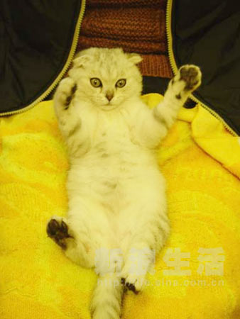 杰瑞比划ing