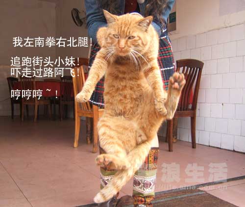 ͼƬһҳ