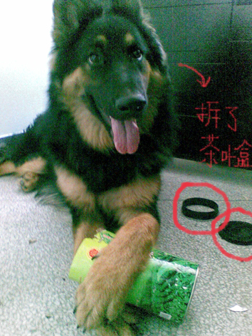 ͼƬһҳ