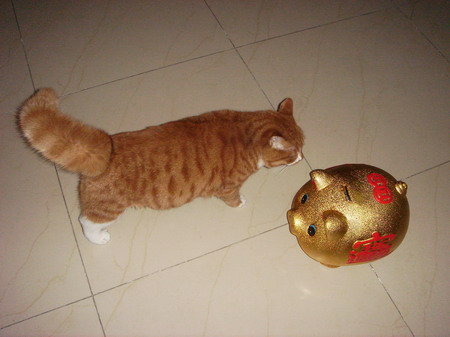 ͼƬһҳ