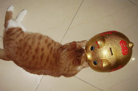 ͼƬһҳ