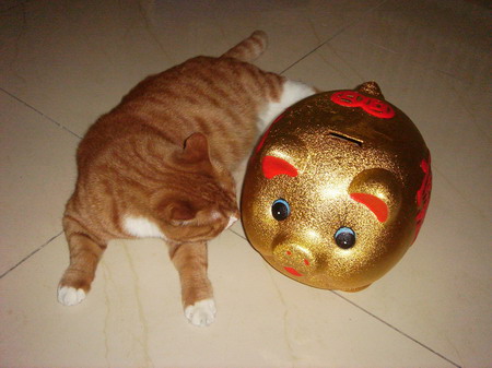 ͼƬһҳ