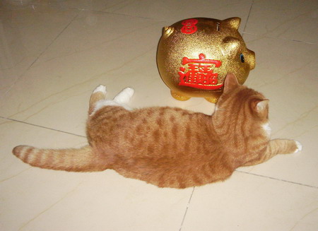 ͼƬһҳ