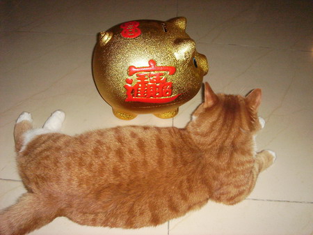 ͼƬһҳ