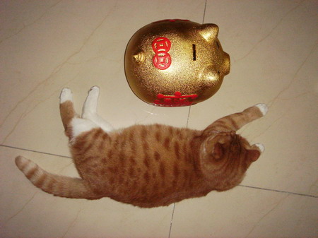 ͼƬһҳ