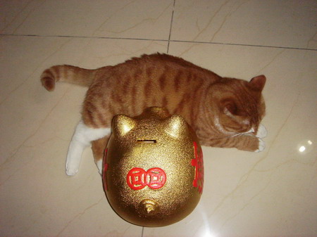 ͼƬһҳ